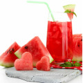 watermelon melon juice processing machine